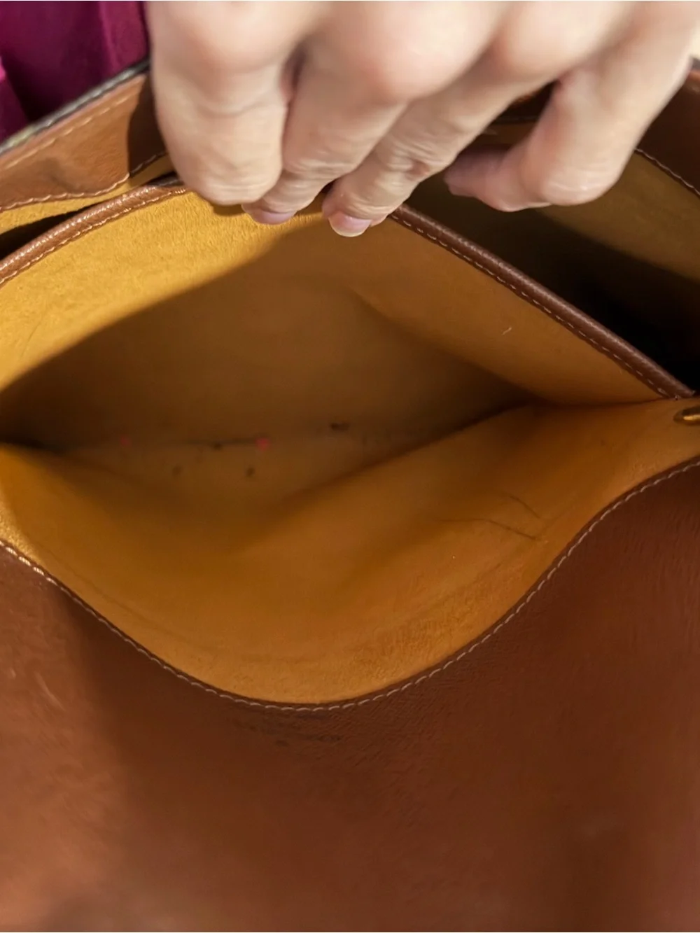 Louis Vuitton iconic louis